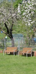 DSC00810 - Arbeitskopie 2