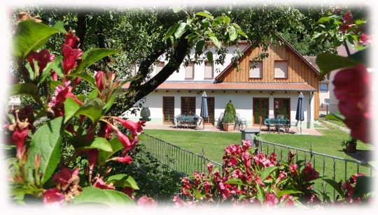 9ED4C5F5-48A3-4D68-8178-74F08BCDA789_1_105_c